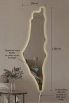 Palestine Map Mirror