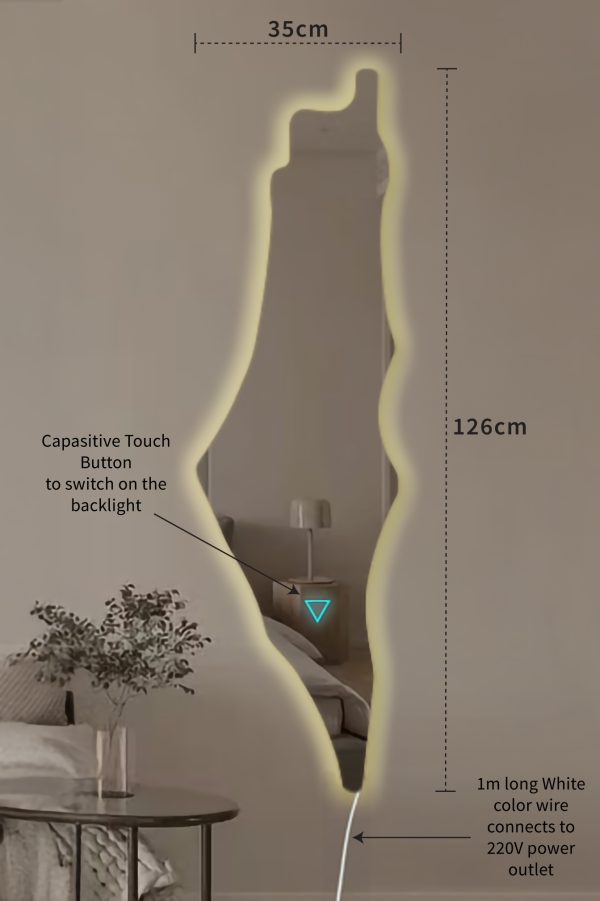 Palestine Map Mirror