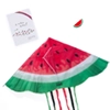 Book, Kite & Watermelon Pin